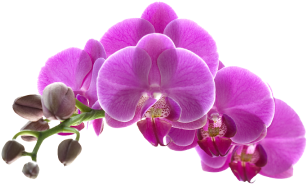 best beauty and salon manipal