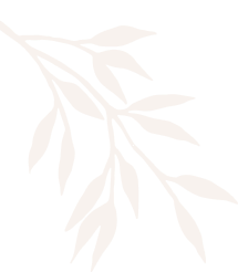 VIP Beauty And Salon