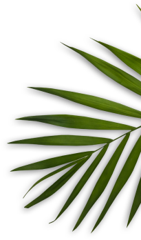 VIP Beauty And Salon