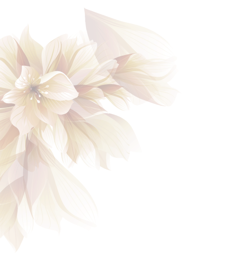 VIP Beauty And Salon